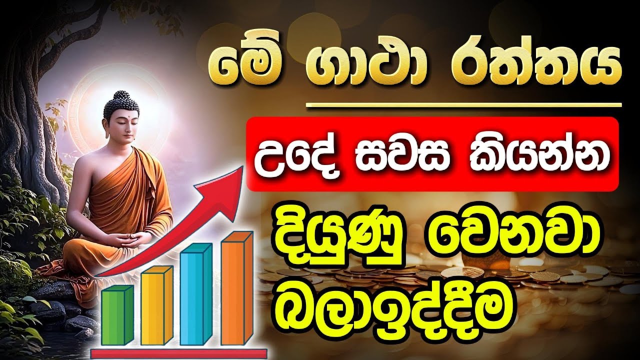 දියුණු වෙනවා බලාඉද්දීම.. @niwanmagabuduguna  #niwan #niwanmaga #buduguna #budubana