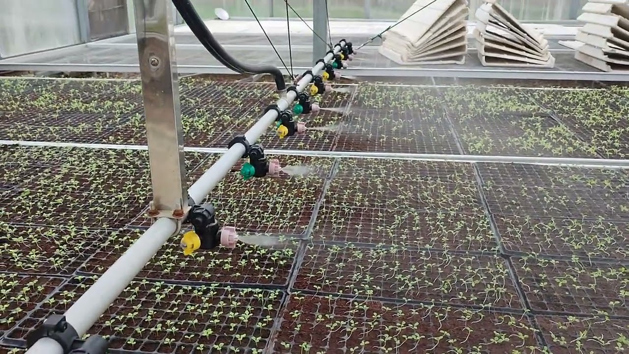 Greenhouse Sprinkler - Irrigation System || Efficient Irrigation