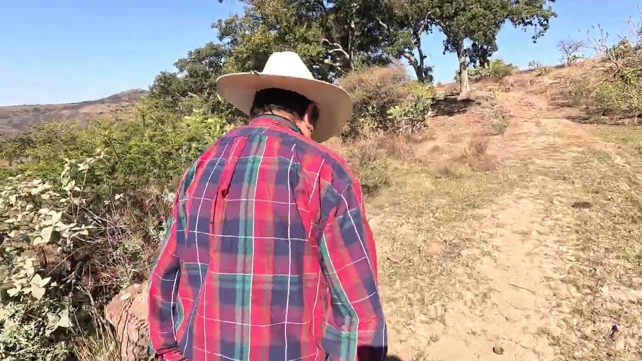 mirando el poso ya tiene alambre