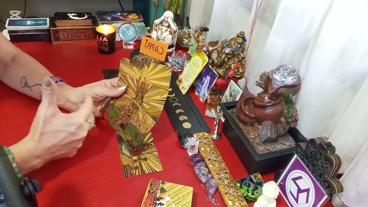 CAPRICORNIO ♑ WOW TE ESTAN GUIANDO, TRANSFORMACIÓN,DESEOS CUMPLIDOS,AVANZAS CON ÉXITO, CELEBRACIÓN ✨