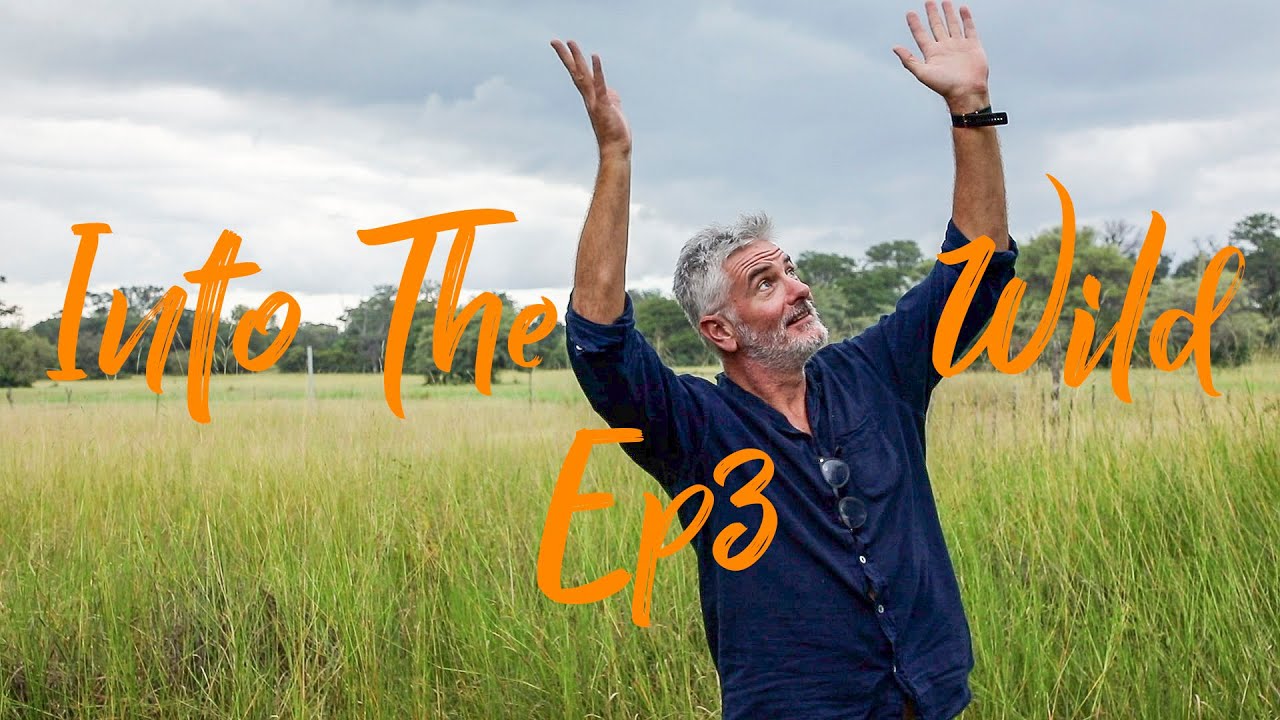 Into The Wild Ep3 - BWABWATA [Ngepi][Nambwa][Bwabwata][Caprivi][Safari][Elephant] Horseshoe.