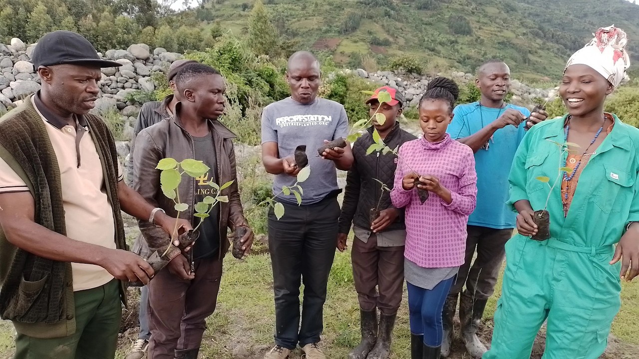 People and nature Rwenzori Mountains a voice  to mitigation and adapting to climate change  .