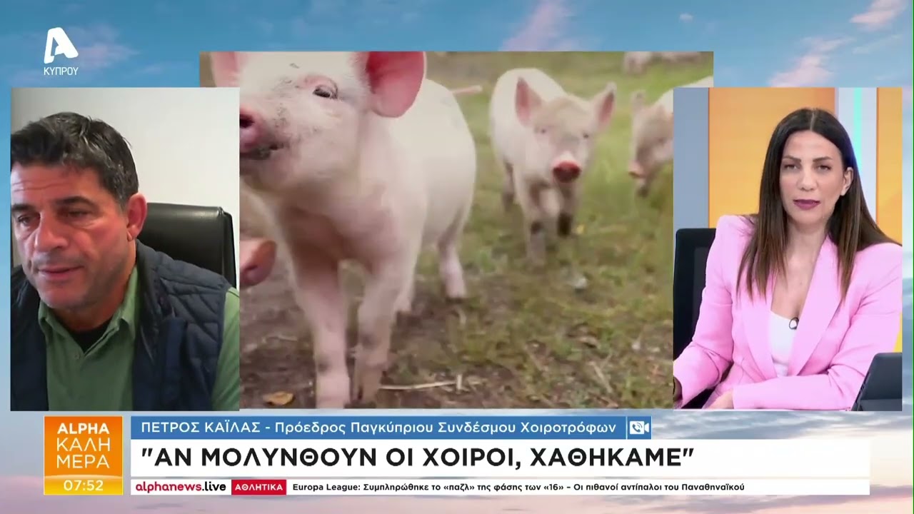 Δεν θα εμβολιαστούν οι χοίροι προς το παρόν | AlphaNews Live