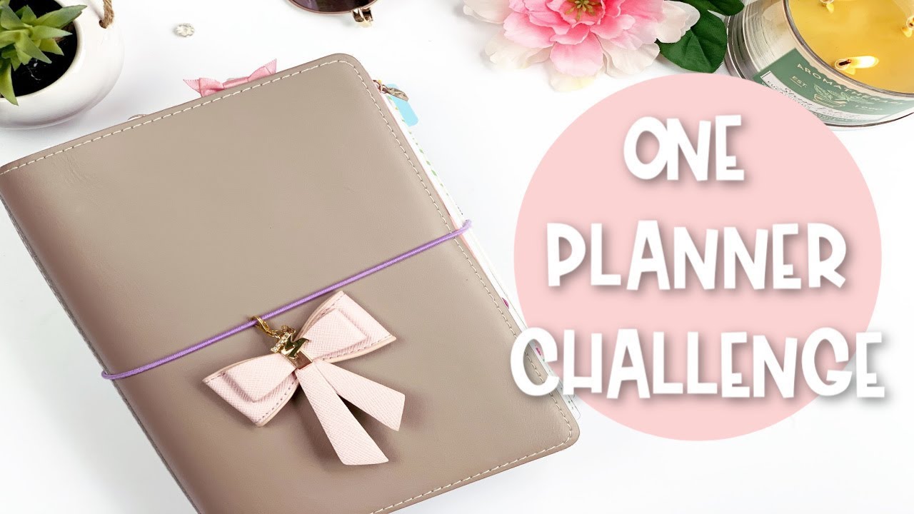 One Planner Challenge | Using Only One Planner For An Entire Month | E.Michelle