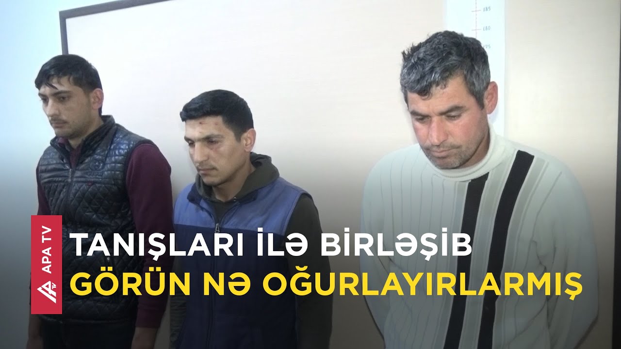 Polis Bərdədə əməliyyat keçirdi, oğurluq edən dəstə saxlanılıb - APA TV