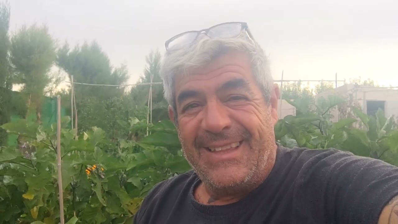 Raleo o aclare de las zanahorias. (así lo hacemos nosotros)