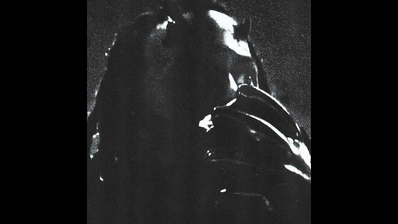 [free] *hard* playboi carti + wlr + narcissist + f1lthy type beat 