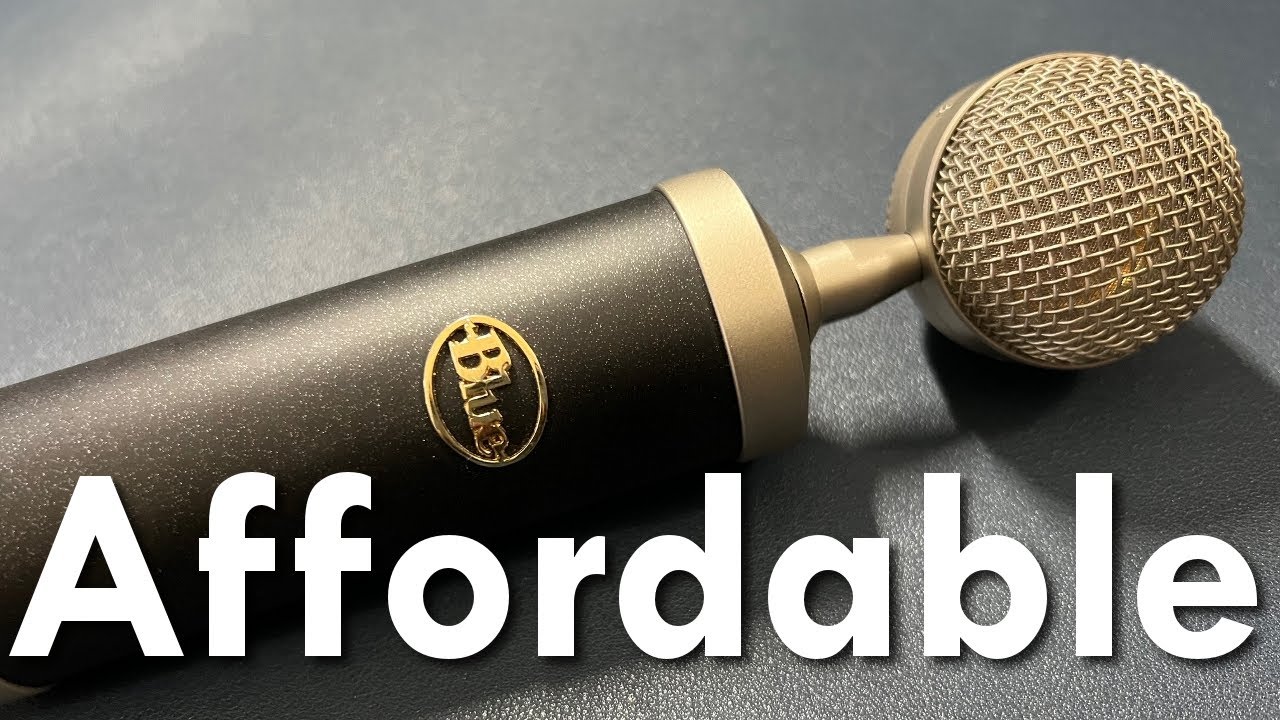 Affordable dark and warm condenser microphones. It's a short list.
