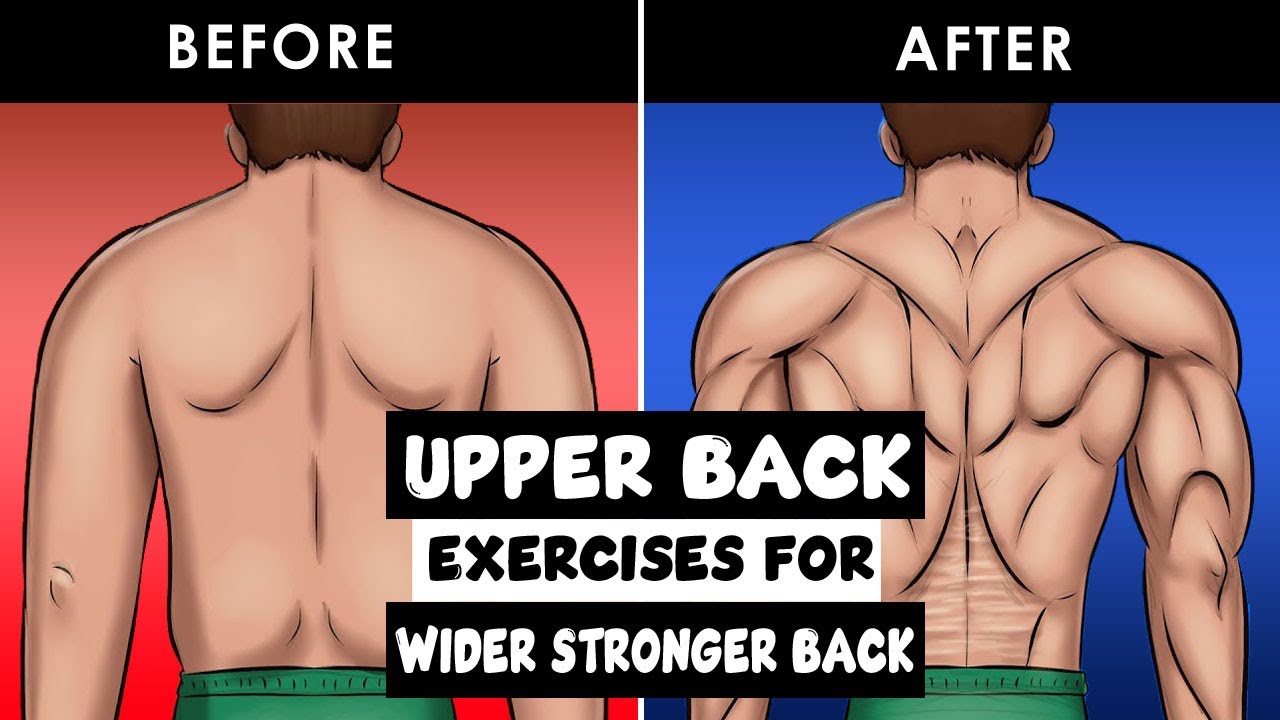 Upper Back Exercises for A Wider And Stronger Back