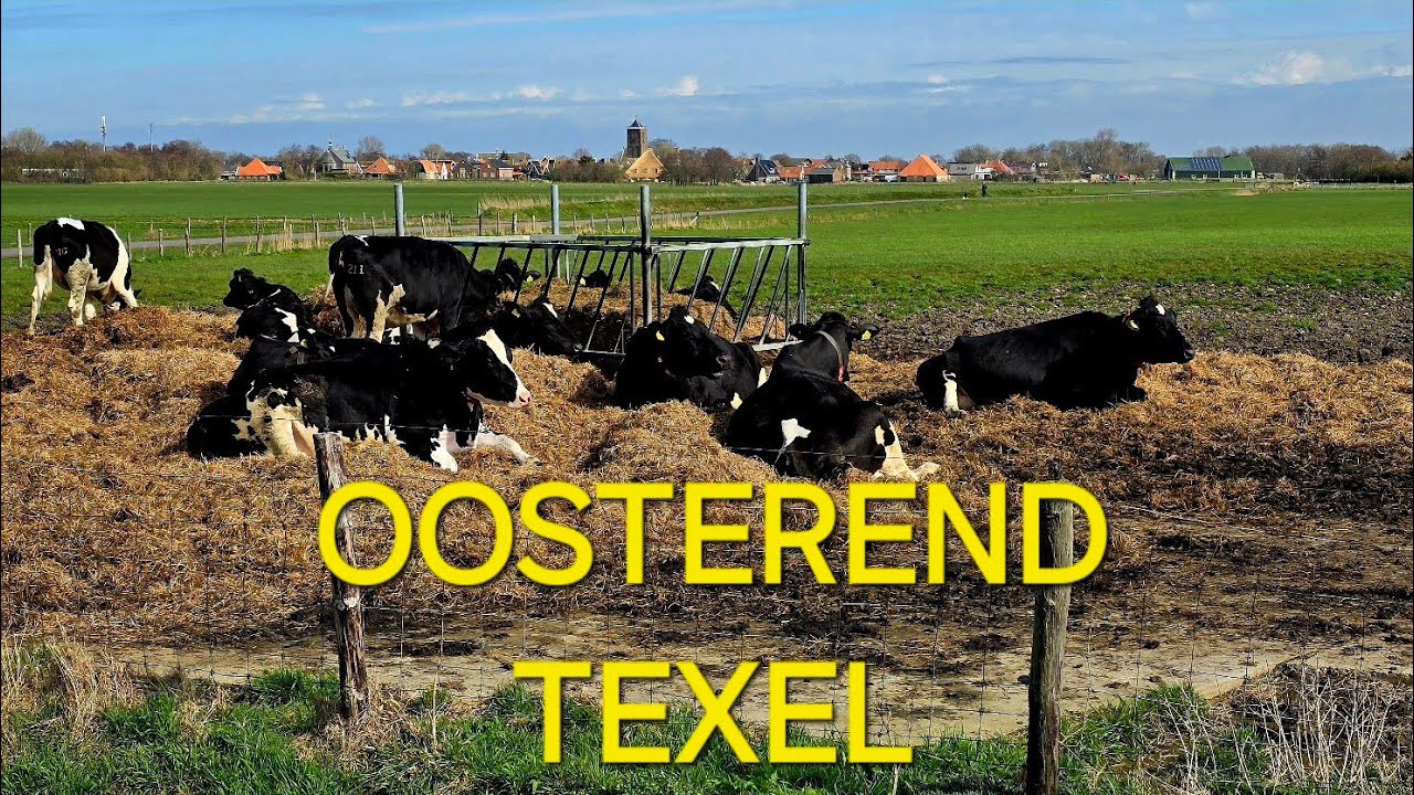 Welkom op Texel - OOSTEREND 4K