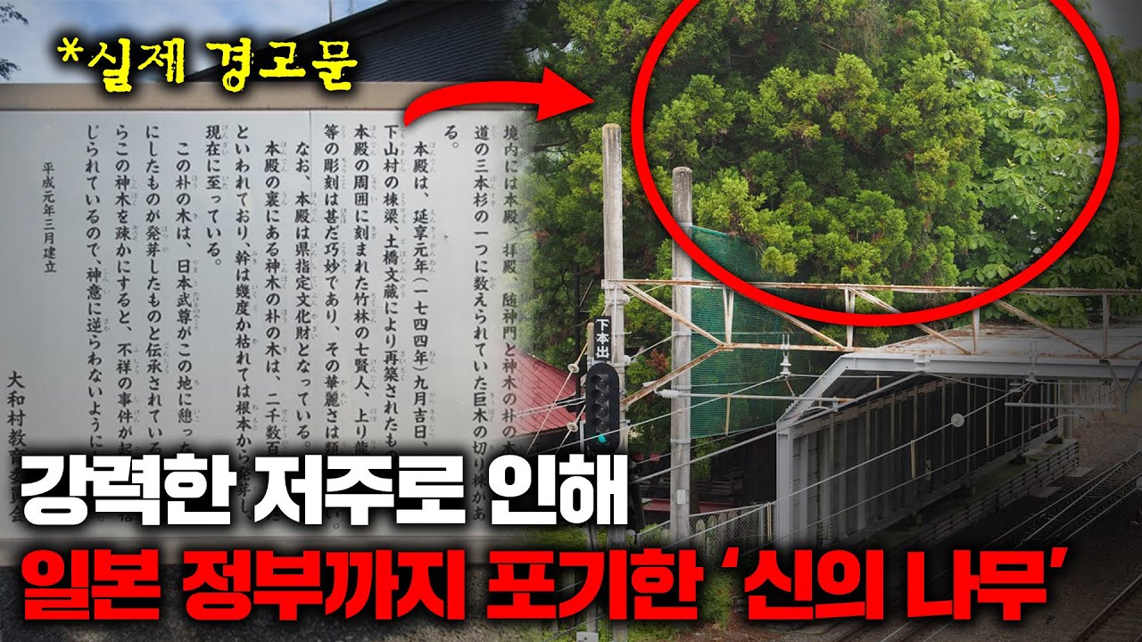 일본 신사 뒷편에 존재하는 '저주받은 나무'에 얽힌 끔찍한 사건과 이야기들 [괴담]