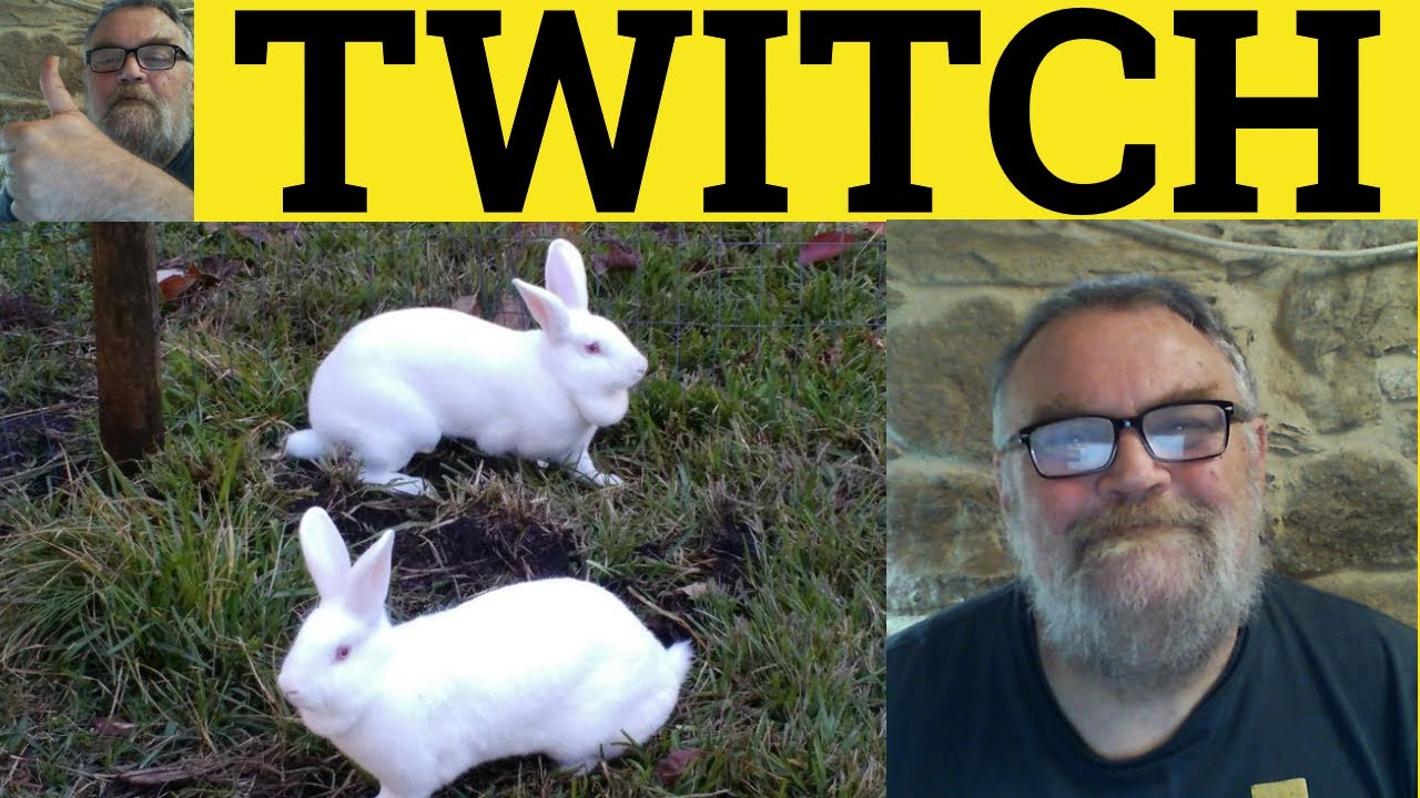 🔵 Twitch - Twitch Meaning - Twitching Examples - Twitch Definition - C2 Vocabulary