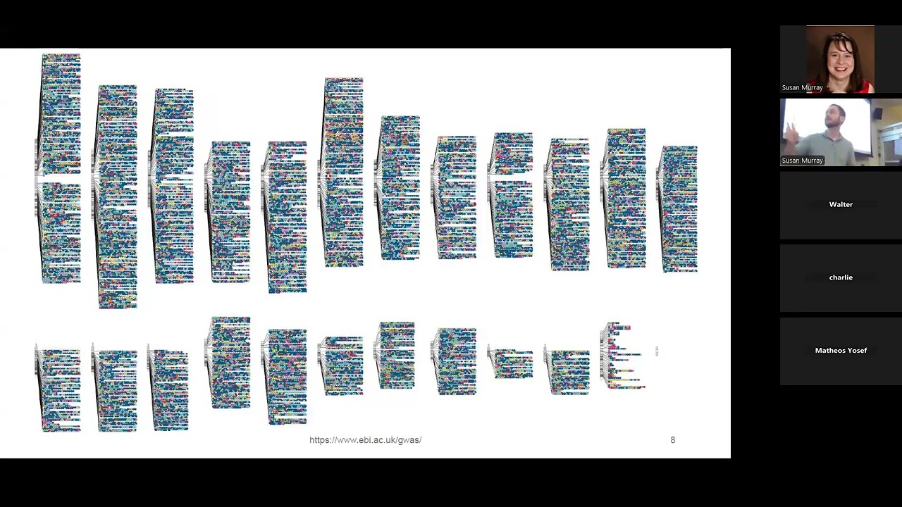 Brady Ryan: FinemappingMR-- A novel Mendelian randomization method using statistical fine-mapping