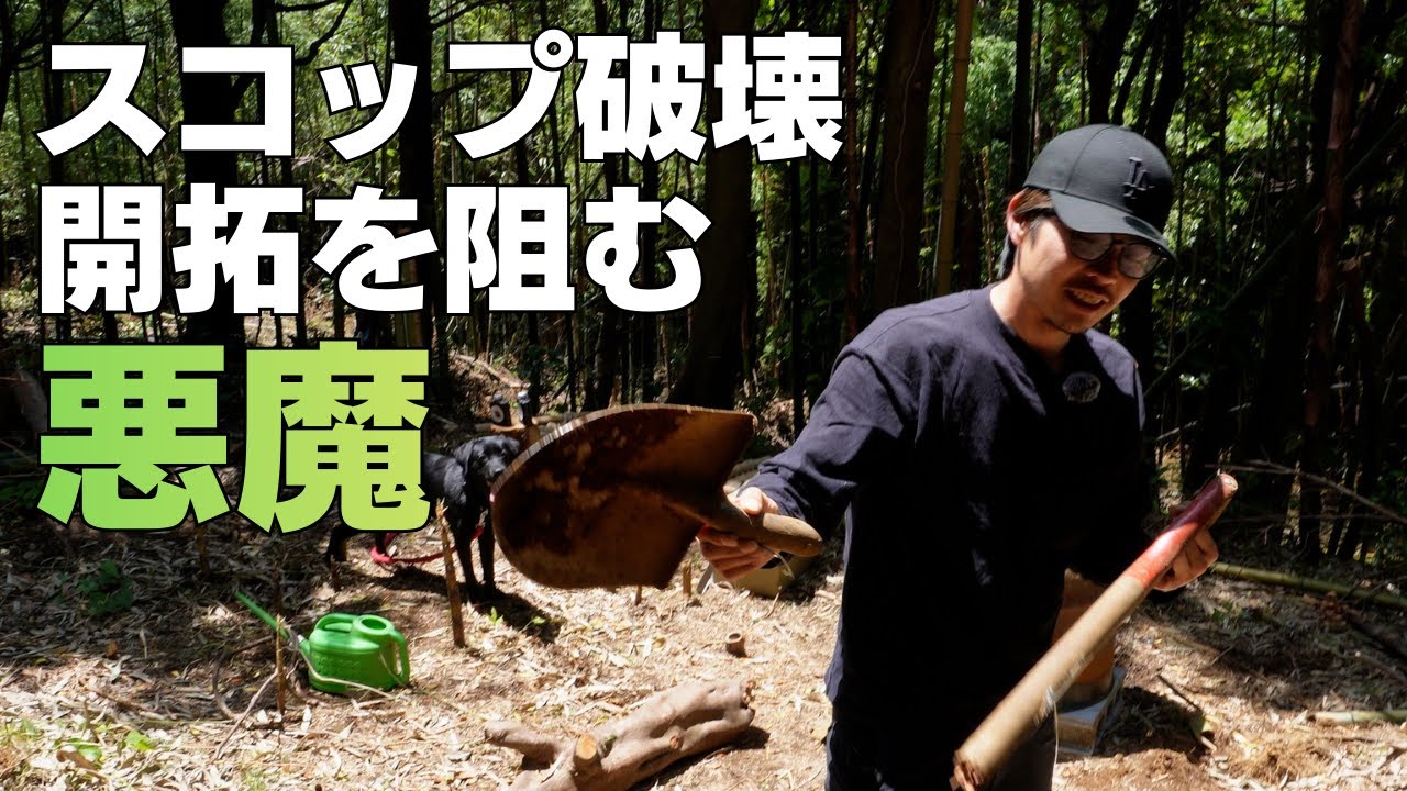 開拓は竹との戦い #diy