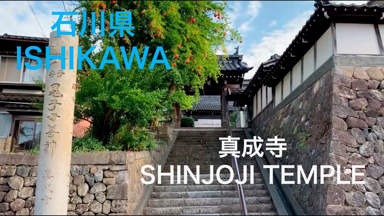 鬼子母神 真成寺 SHINJYOJI TEMPLE (人形寺 NINGYOHTERA)  .uncut .no talk