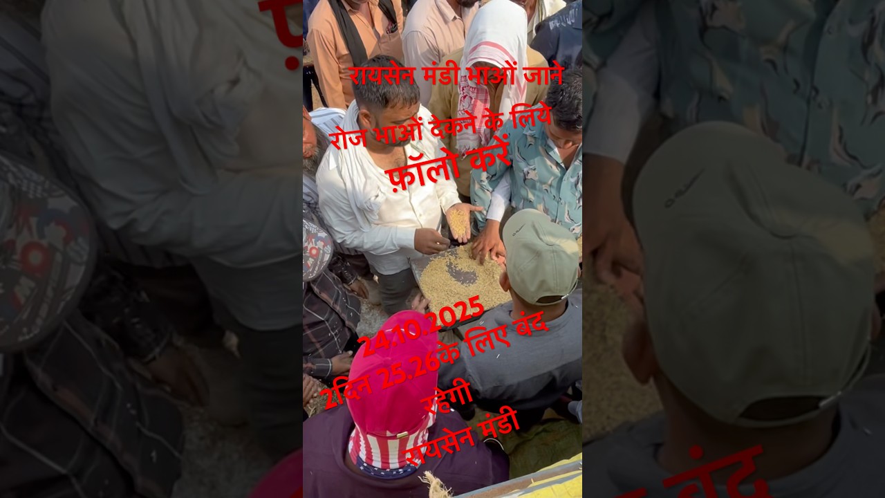 Raisen mandi bhao#reels #tirending #vairalvideo