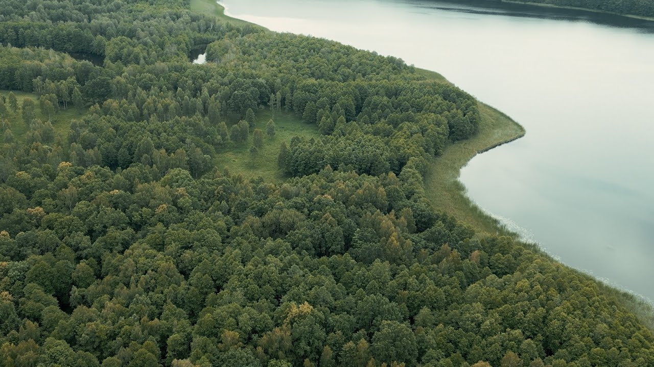 Ginučių ąžuolyne – Lietuvos retųjų augalų lobynas