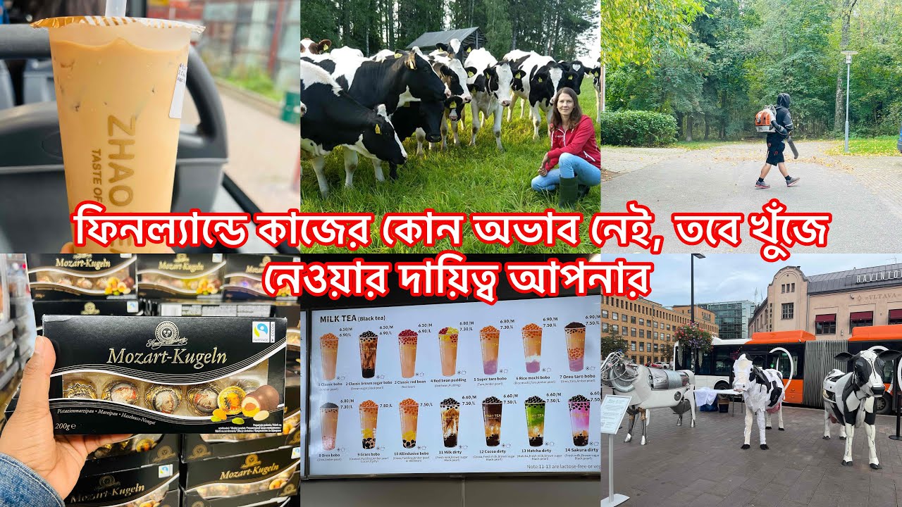 ফিনল্যান্ডে কাজের কোন অভাব নেই তবে খুঁজে নেওয়ার দায়িত্ব আপনার!! Finland is a happy country