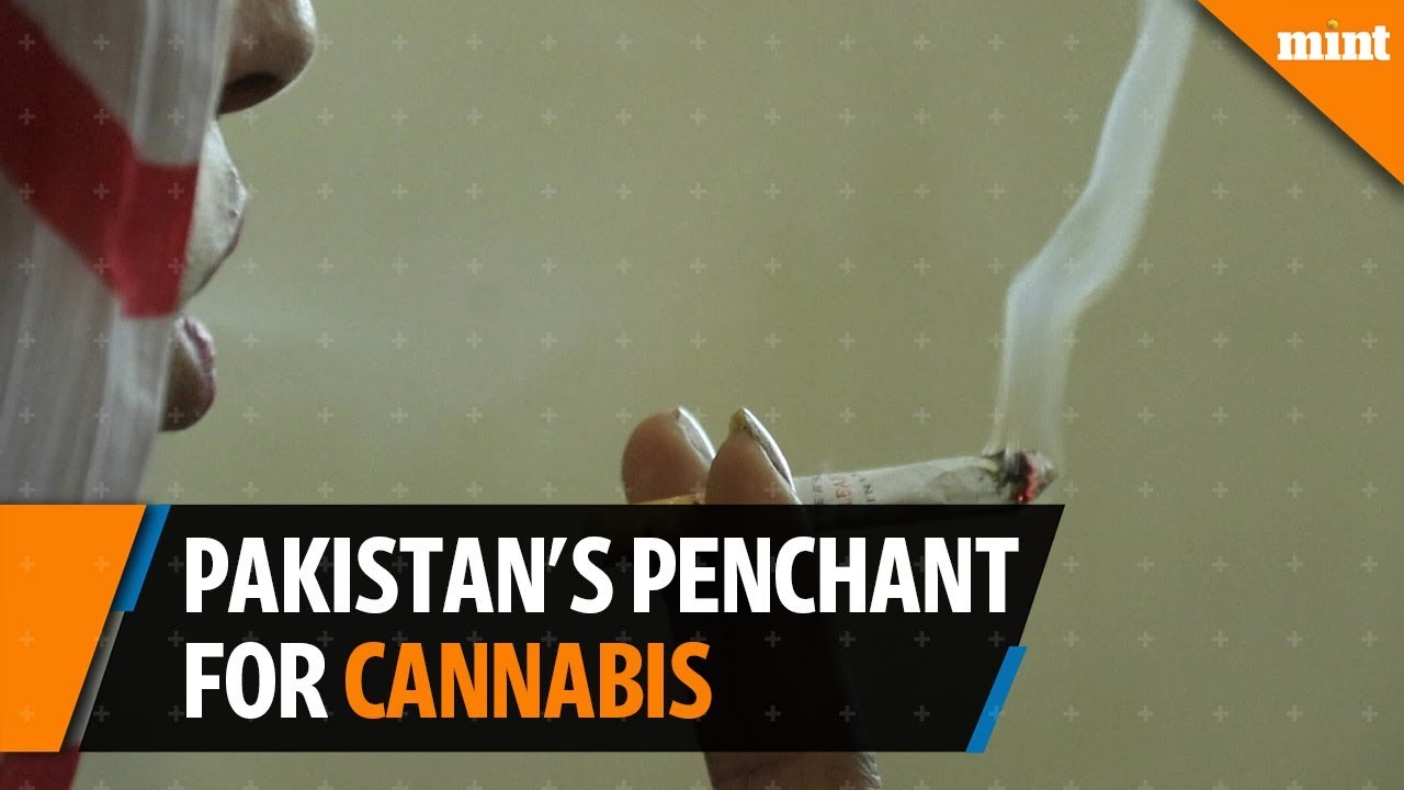 High and dry: Pakistan's penchant for cannabis