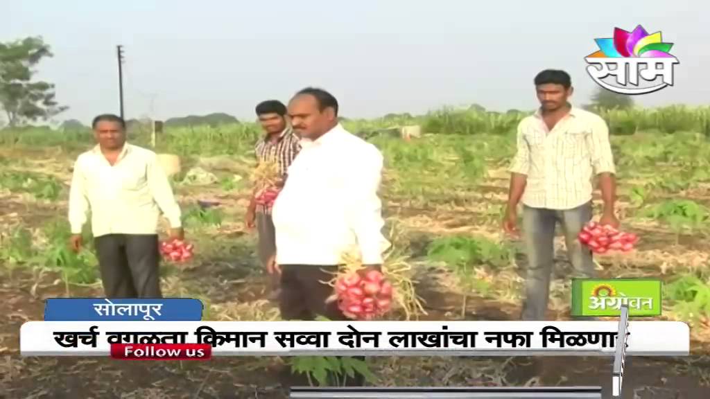 Success story of Sharad Shinde of onion farming