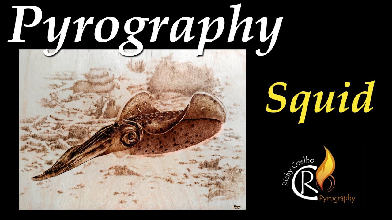 Pyrography – Squid