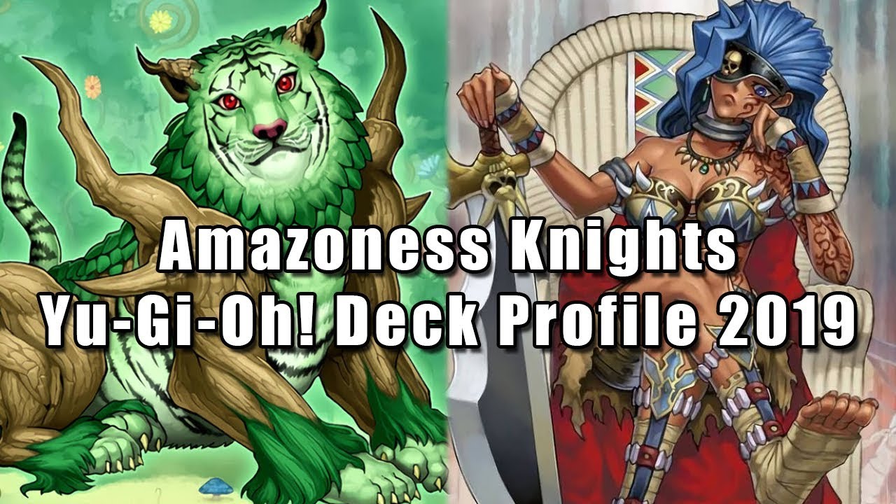 Amazoness Knights Yu-Gi-Oh! Deck Profile 2019