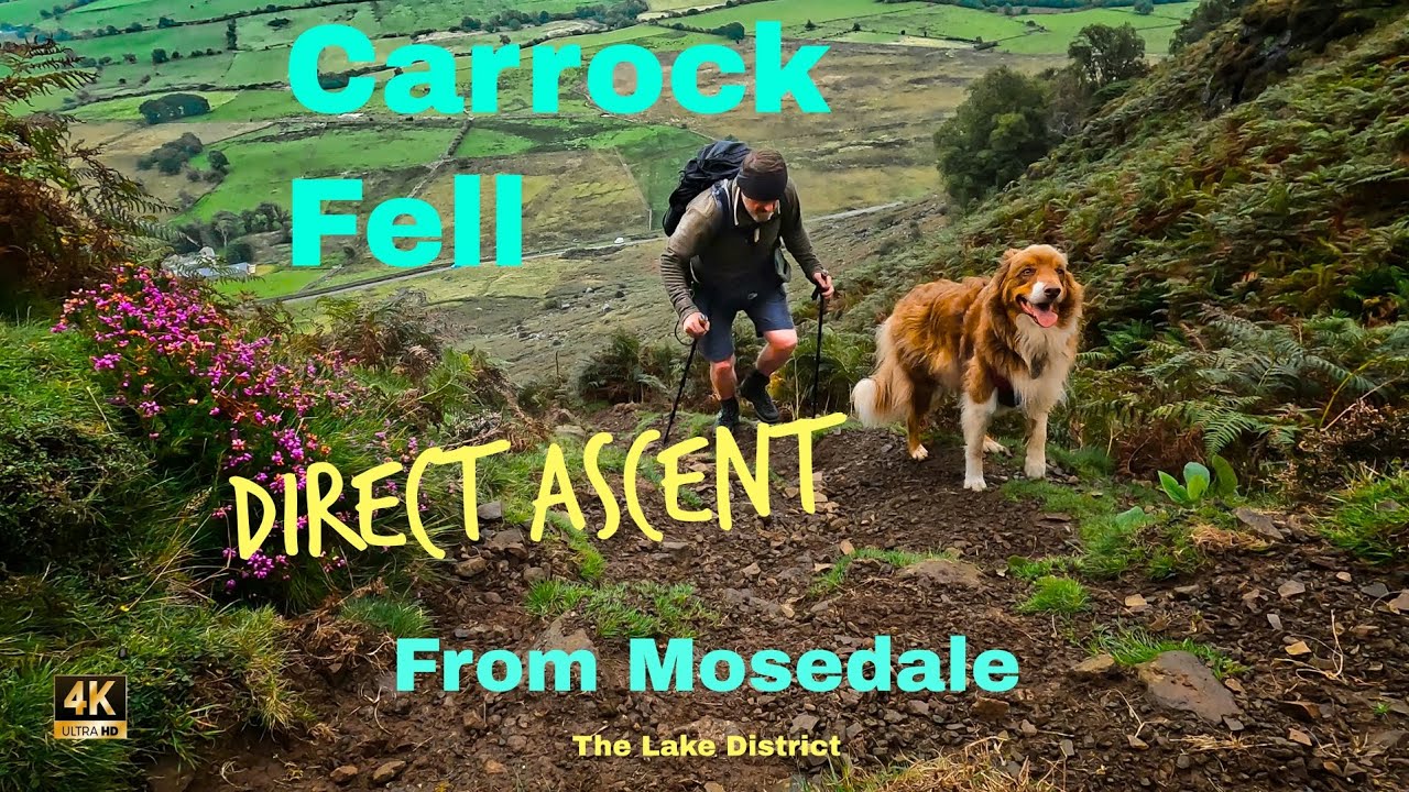 Carrock Fell Direct Ascent From Mosedale (The Lake District)