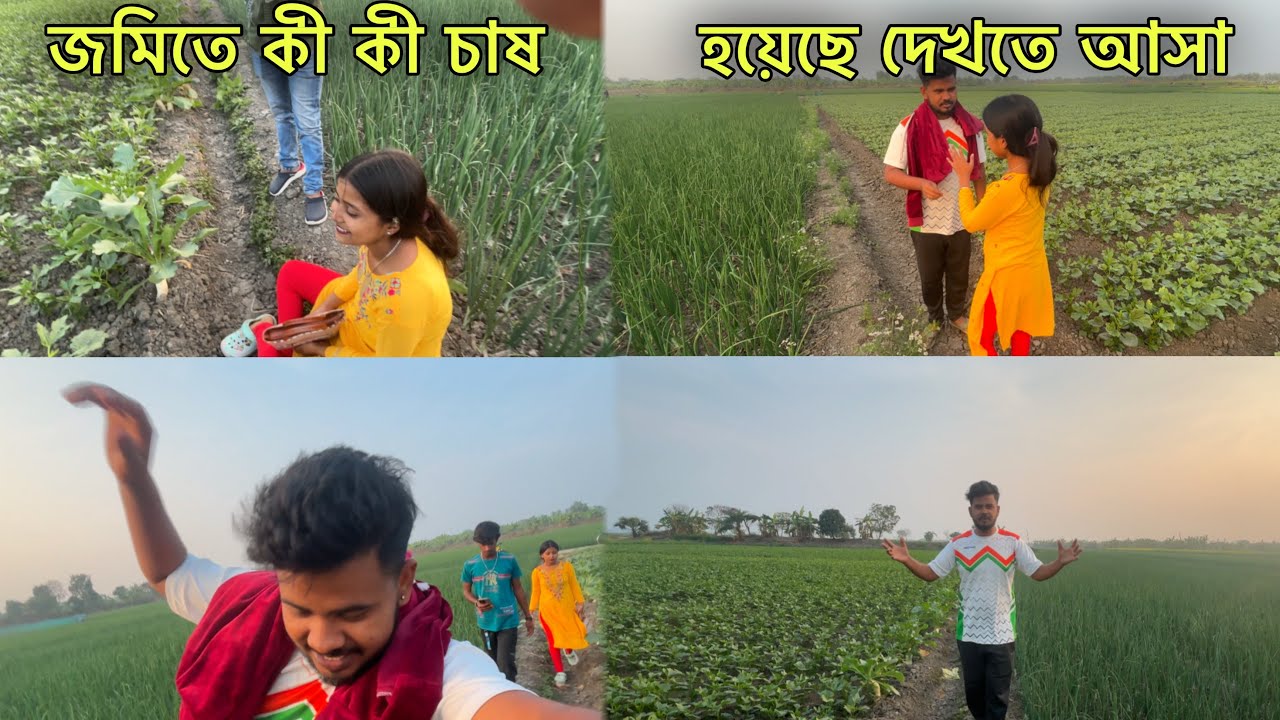 জমিতে কী কী চাষ হয়েছে??  খেতে এসে কী হলো??