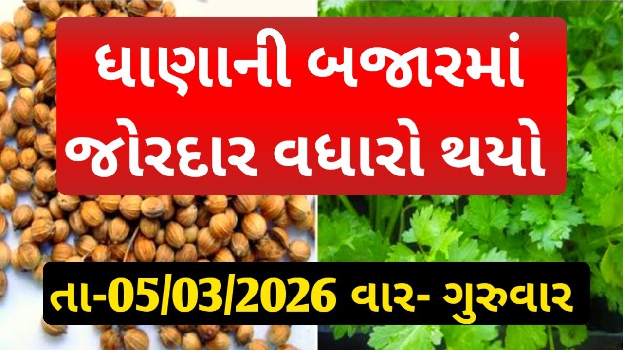 નવા ધાણાના બજાર ભાવ / ધાણાના બજાર ભાવ / આજના ધાણા ના ભાવ /05,03,2026