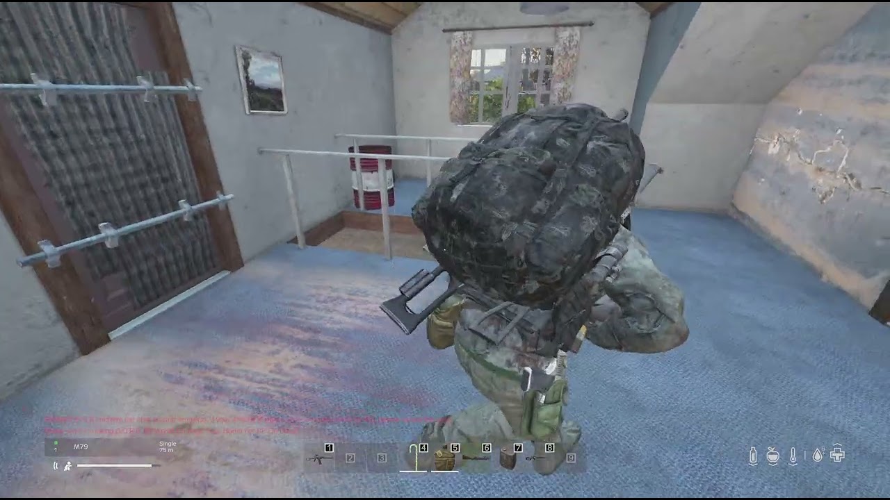 DayZ_20260226203611