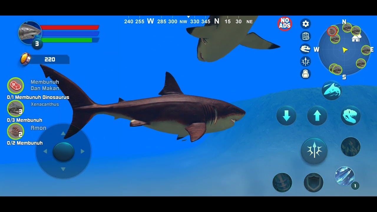 megalodon coklat 
