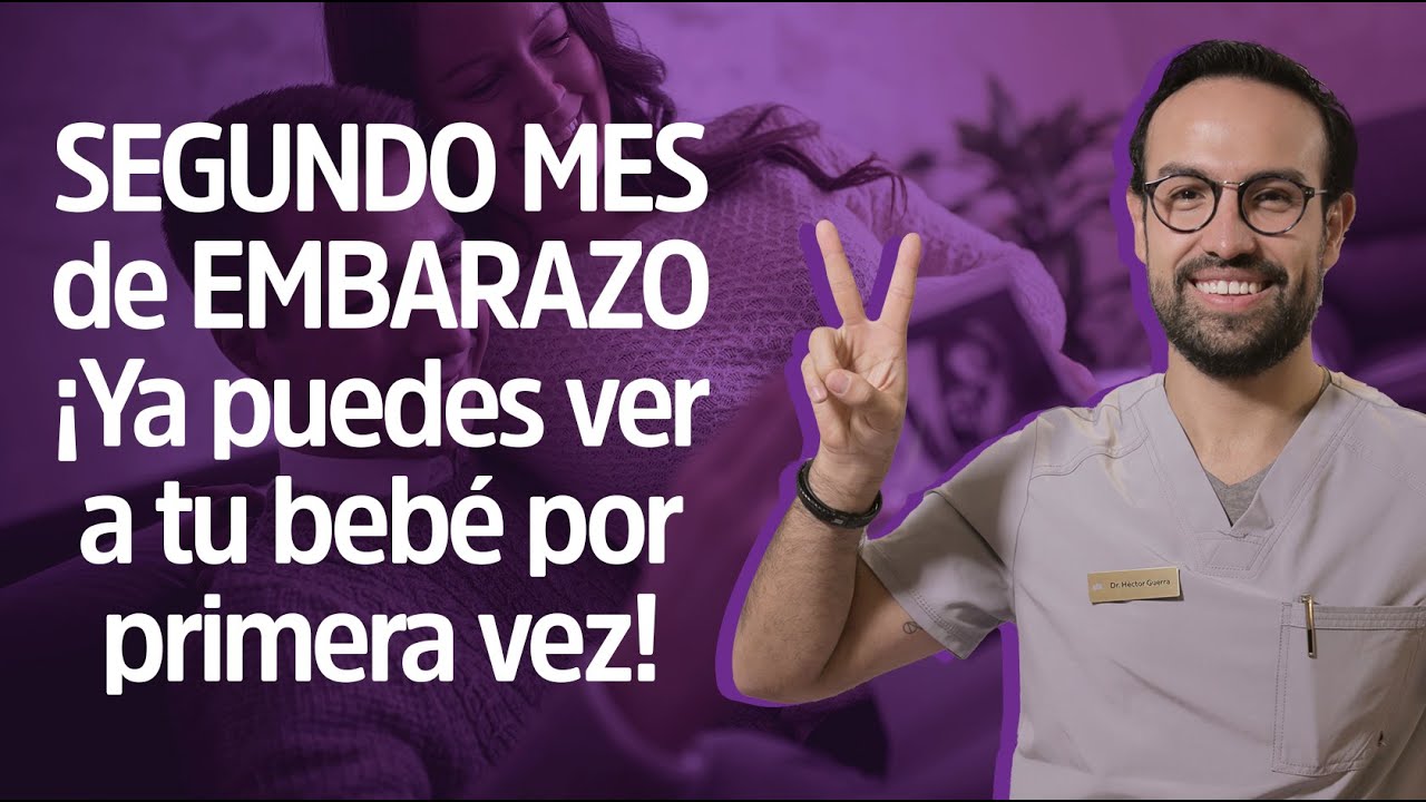 SEGUNDO MES de EMBARAZO &iexcl;Lo que DEBES SABER! | Reina Madre💜