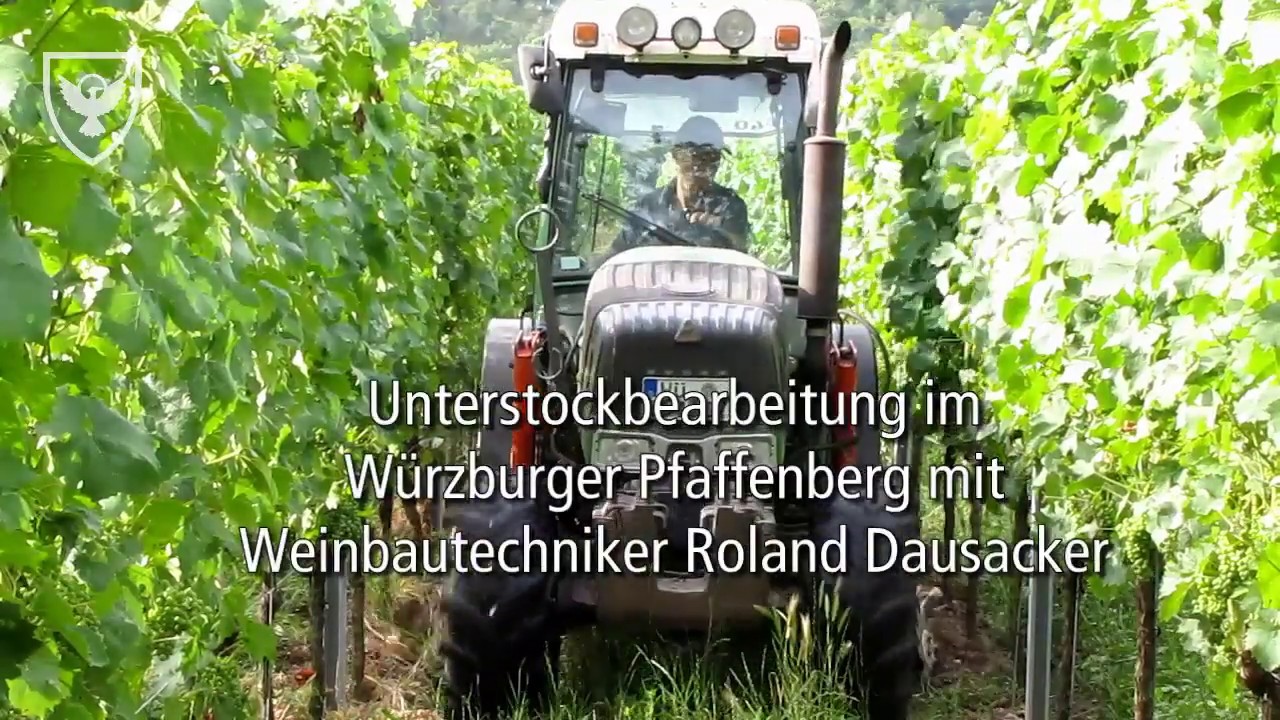 Unterstockbearbeitung im Würzburger Pfaffenberg Bürgerspital