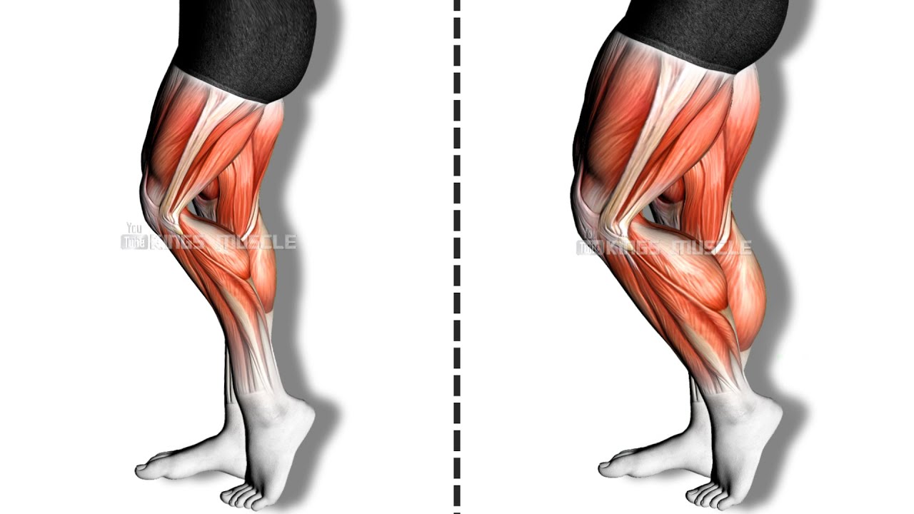 Chicken Legs Into Cbum Legs! Best and Effective Leg Workouts At Home