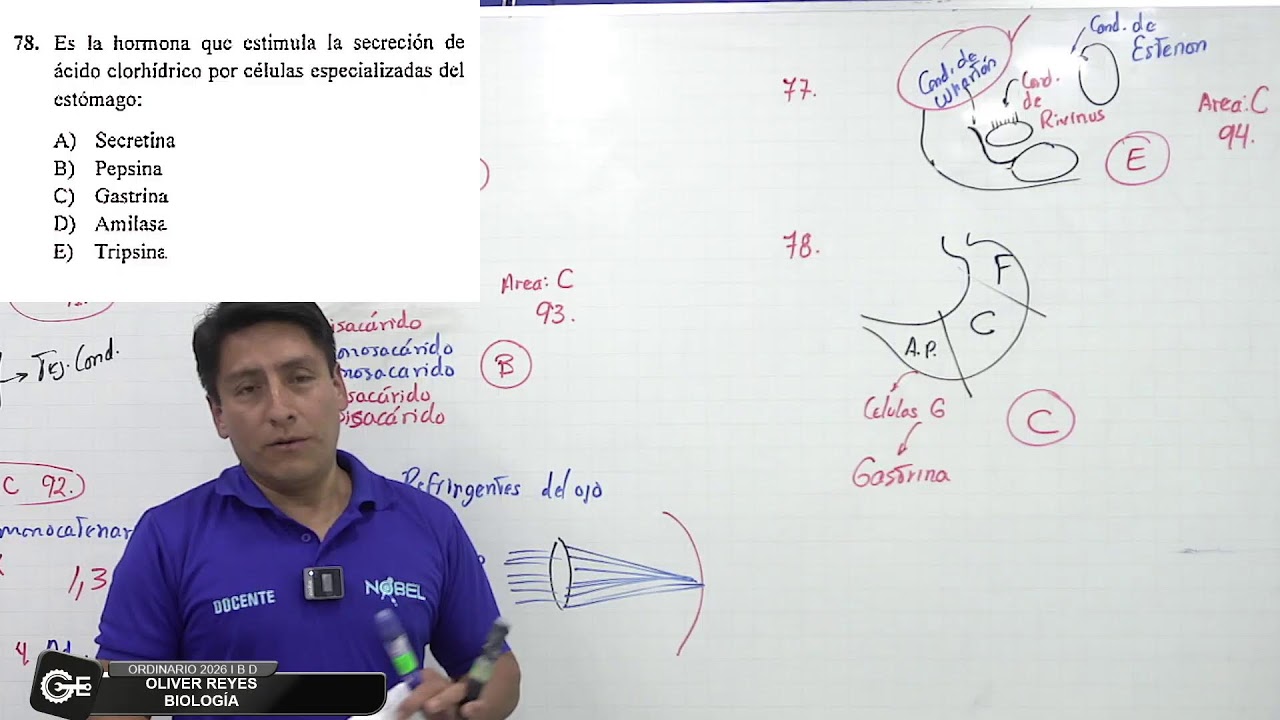 🎥✨ Resolución EN VIVO del Examen Ordinario UNT – Áreas B y D