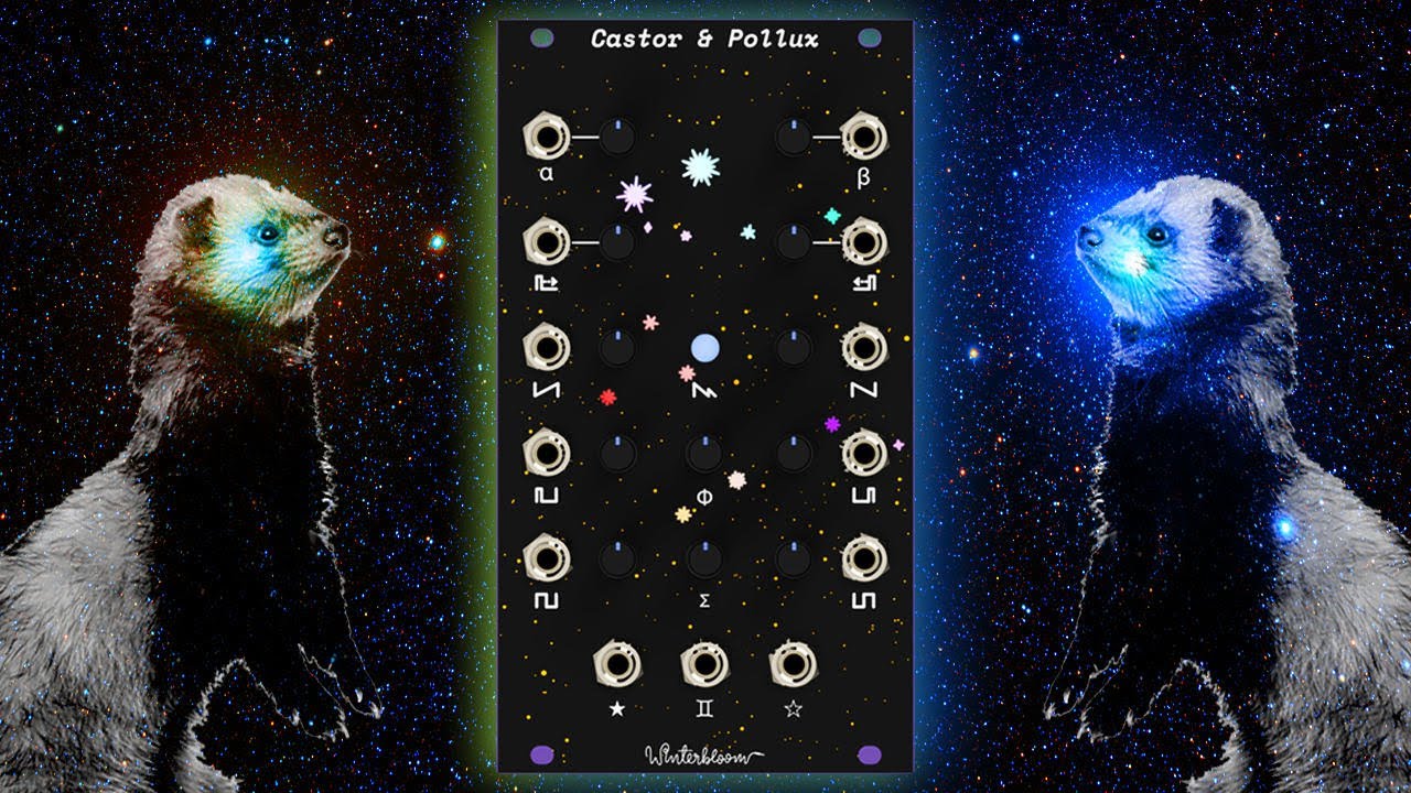 Winterbloom Castor and Pollux, a Juno-Inspired Friend