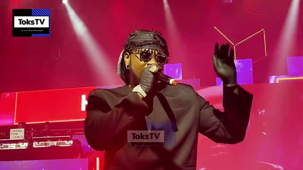Kizz Daniel Performs Back-to-Back Hits at Tony Elumelu’s Futuristic Glam Christmas Party [Dec 2024]