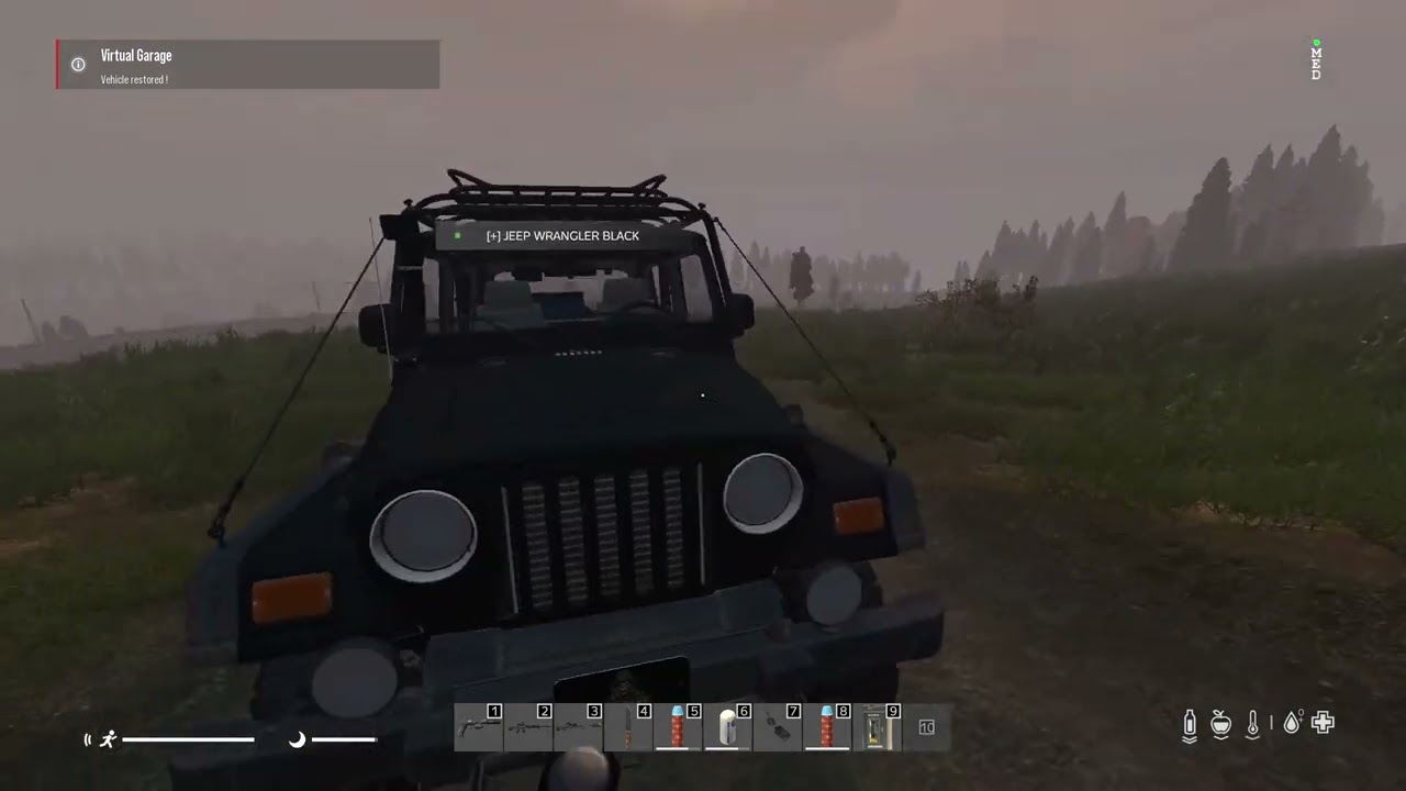 Playing DayZ on MAG (MiddleAgedGamers) PVE server