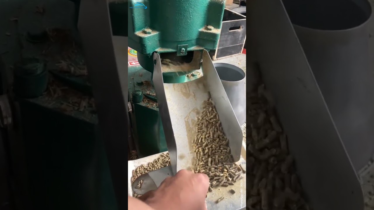 Granulateur pour aliments d'animaux