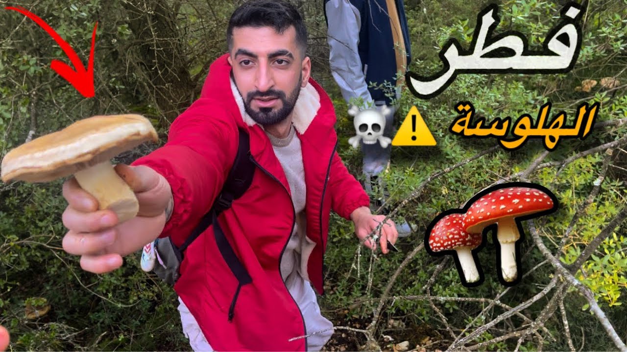 عراقي في غابات تركيا  / اكل الفطر السام ؟ ☠️❌