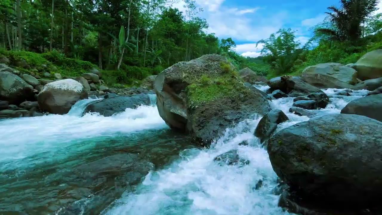 Tranquil Tropical Stream for Deep Sleep | Natural River Soundscape to Beat Insomnia