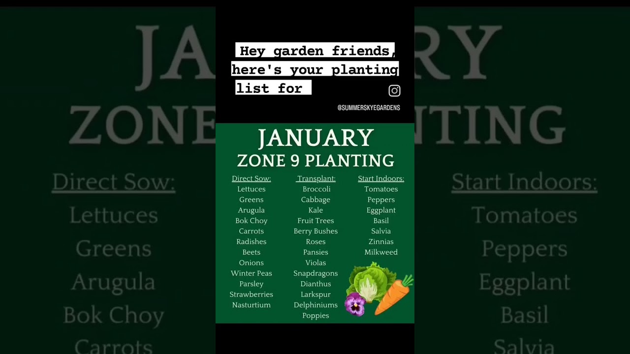Here's what to plant in January! #gardening #gardener #garden #flowergarden #vegetablegarden