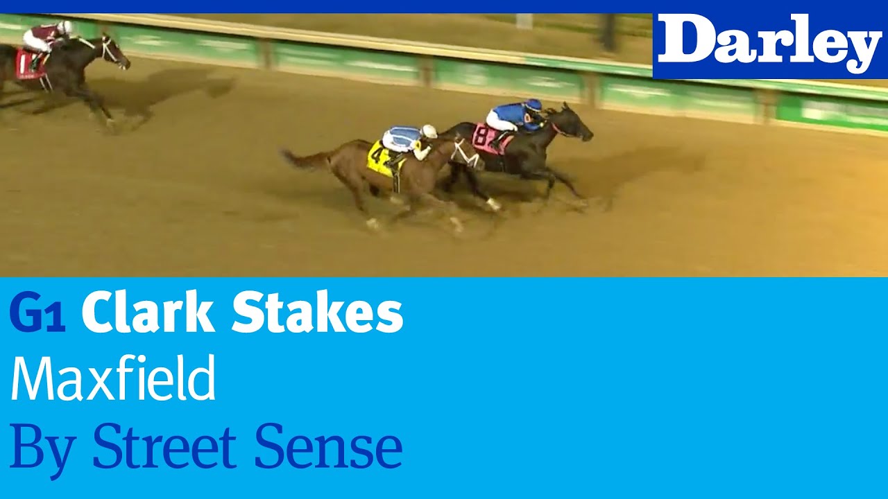 Maxfield by Street Sense wins the G1 Clark Stakes at Churchill Downs