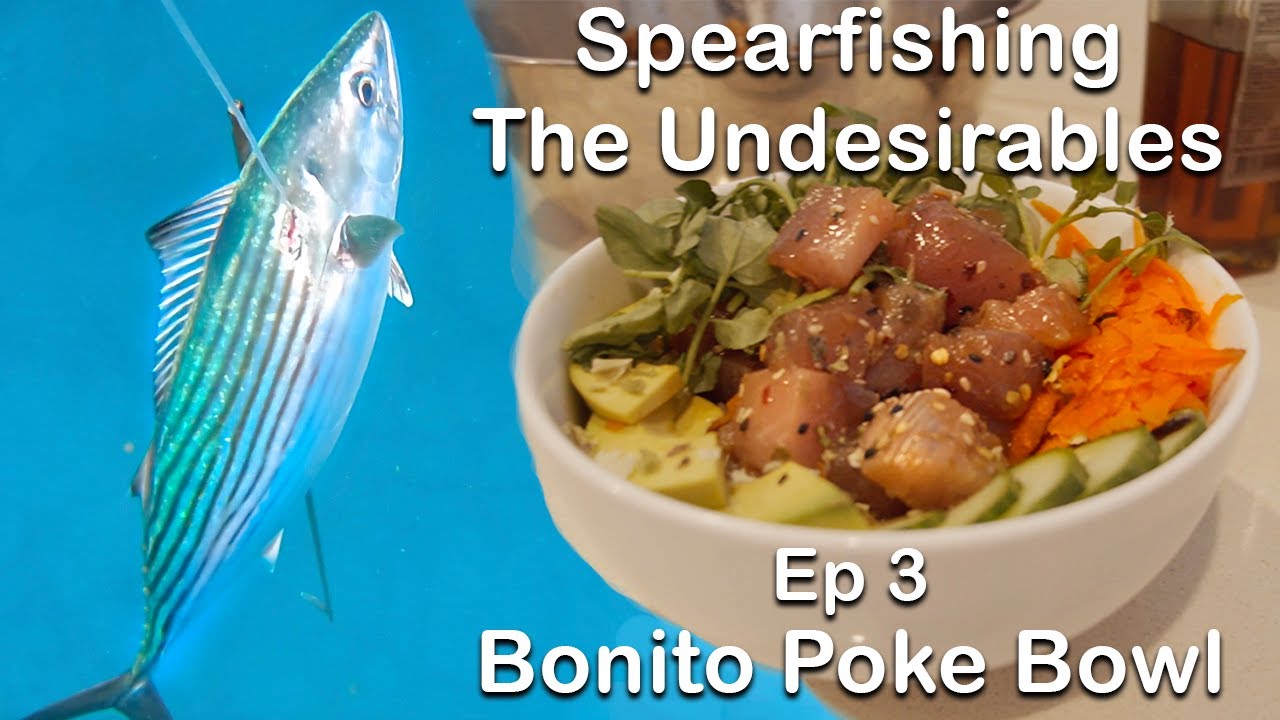Spearfishing The Undesirables Ep 3 Bonito 4K