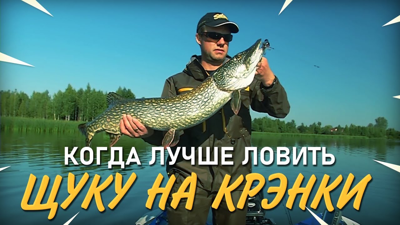 Когда лучше ловить щуку на воблеры крэнки