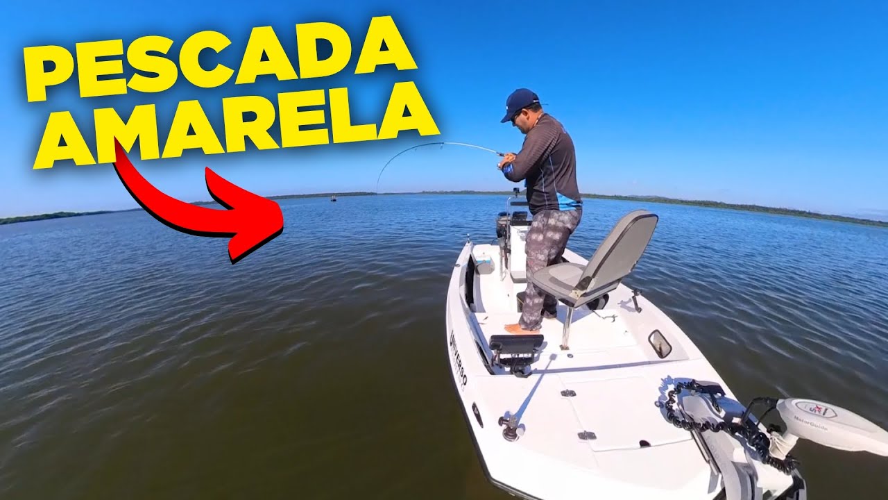 PESCADAS AMARELAS NO JIG HEAD - Pescaria na LUA NOVA Baia da Babitonga