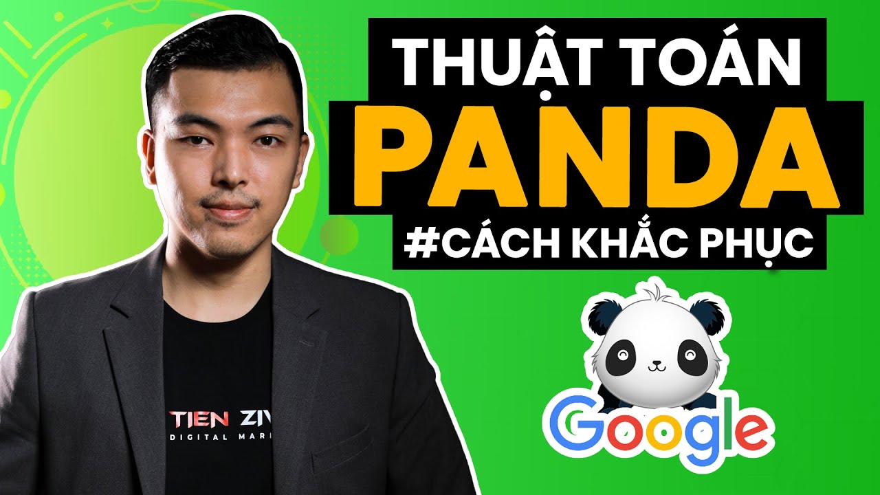 Thuật toán Google Panda là gì? Hiểu rõ về Panda để không bị phạt - Lời khuyên gỡ thoát án phạt Panda