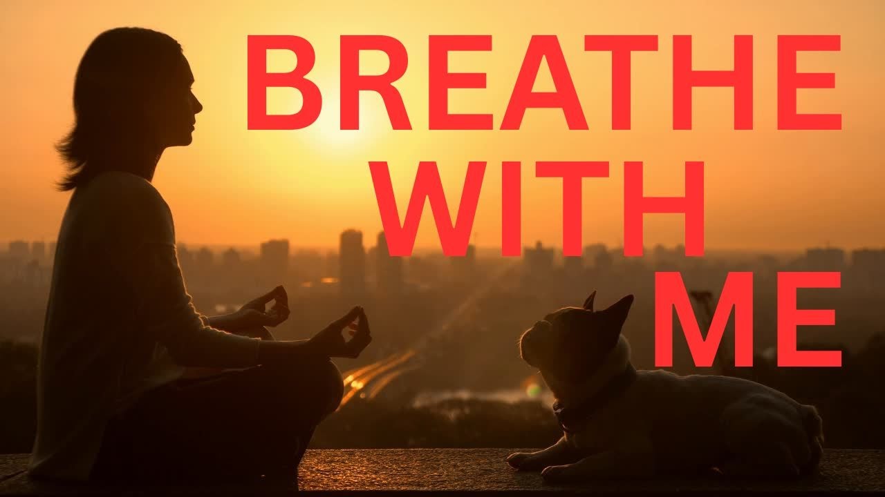 Play This If You’re Feeling Overwhelmed