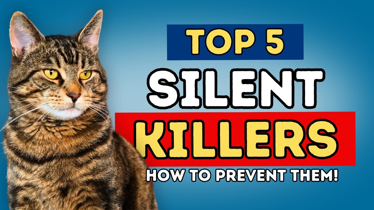 Top 5 Silent Cat Killers in 2025 – (And How to Prevent Them!)