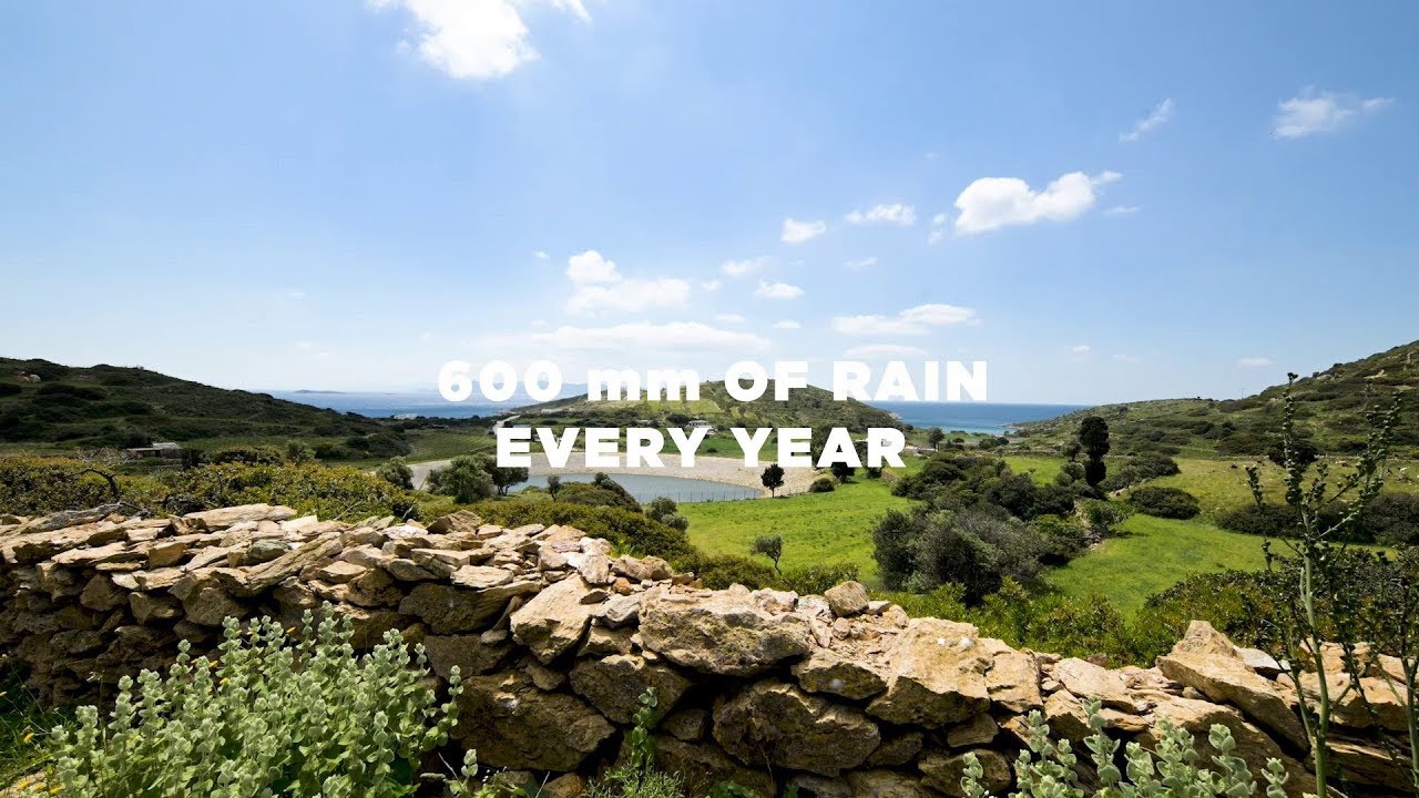 Model Rainwater Harvesting solution in the Greek island of Lipsi